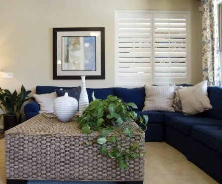 White plantation shutters designed by Australian Plantation Shutters installed above a navy sectional sofa.
